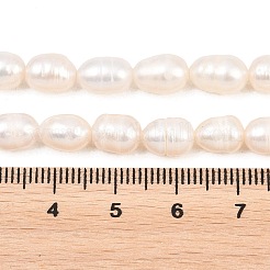 Natural Cultured Freshwater Pearl Beads Strands&nbsp;PEAR-D003-01D-07