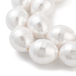 Electroplated Shell Pearl Beads Strands&nbsp;BSHE-H110-01-03