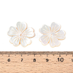 天然の黄色い貝殻の彫刻ペンダント  花のチャーム  貝殻色  21x21x2mm  穴：1.5mm&nbsp;BSHE-T014-13