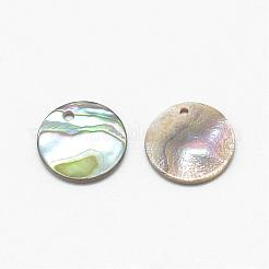 パウアシェルチャーム  フラットラウンド  カラフル  11~12x1mm  穴：1mm&nbsp;SSHEL-R041-37