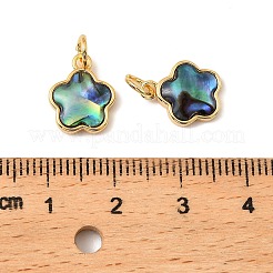 Natural Paua Shell Star Charms&nbsp;KK-G538-28G