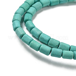 Dyed Synthetic Turquoise Beads Strands&nbsp;G-G075-A02-01