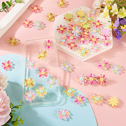 60Pcs 6 Colors Transparent Resin Flower Cabochons&nbsp;RESI-TA0004-79
