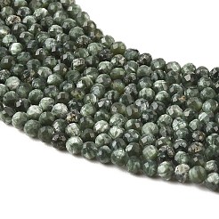 Natural Seraphinite Beads Strands&nbsp;G-K376-A02-4mm