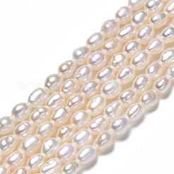 天然養殖淡水パールビーズ連売り  ライス  貝殻色  3~3.5x2.5mm  穴：0.6mm  約90~92個/連  13.78インチ（35cm）&nbsp;PEAR-N012-02G