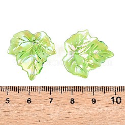 Acrylic Pendants&nbsp;OACR-N137-31A