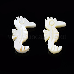 Natural Freshwater Shell Beads&nbsp;SHEL-N026-158