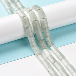 Natural Myanmar Jade/Burmese Jade Beads Strands&nbsp;G-C238-14