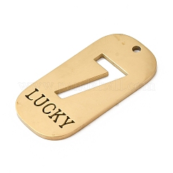 304 Stainless Steel Pendants&nbsp;STAS-D200-02H-G
