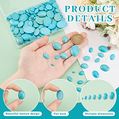 160Pcs 7 Sizes Synthetic Turquoise Cabochons&nbsp;G-PH0002-69A