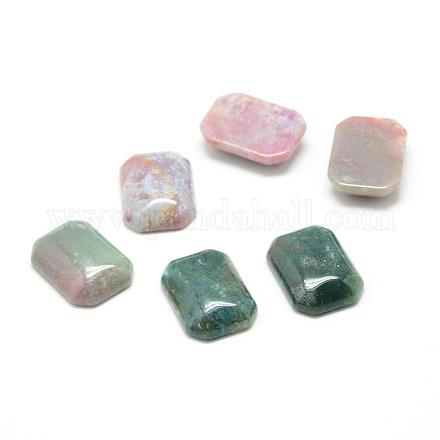 Natural Indian Agate Gemstone Cabochons&nbsp;G-T028-18x25mm-06-1