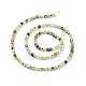 Natural Prehnite Beads Strands&nbsp;G-C009-A20-3