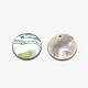 Paua Shell Charms&nbsp;SSHEL-R041-37-2