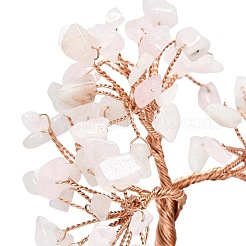 Natural Rose Quartz Chip Pachira Glabra Display Decorations&nbsp;DJEW-K025-05A