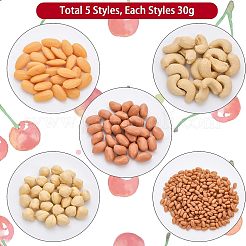 150G 5 Style Opaque Resin Imitation Nuts Ornaments&nbsp;RESI-CA0001-43