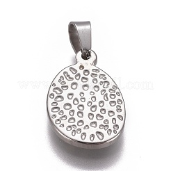 304 Stainless Steel Pendants&nbsp;STAS-F223-22AS