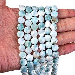 Natural Larimar Beads Strands&nbsp;G-F675-08