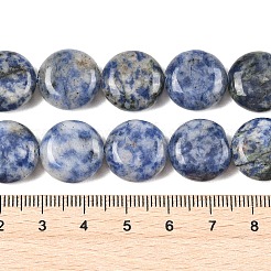 Natural Blue Spot Jasper Beads Strands&nbsp;G-L648-B08-15mm