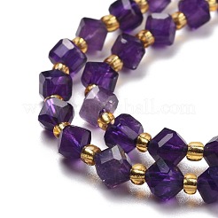 Natural Amethyst Beads Strands&nbsp;G-P463-23