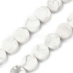 Natural Howlite Beads Strands&nbsp;G-M454-B02