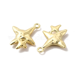 合金ペンダント  長持ちメッキ  カドミウムフリー＆鉛フリー  スター  ライトゴールド  23.5x19x4mm  穴：1.8mm&nbsp;PALLOY-E024-39LG