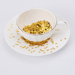 80G PVC Plastic Sequins Confetti&nbsp;AJEW-SP0001-99C