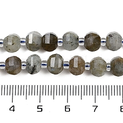 Natural Labradorite Beads Strands&nbsp;G-G182-B02-02