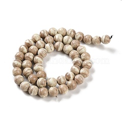 Natural Rainbow Alashan Agate Beads Strands&nbsp;G-NH0022-A10-02