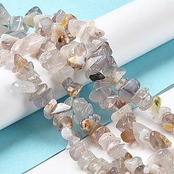 Natural Chalcedony Beads Strands&nbsp;G-M205-83