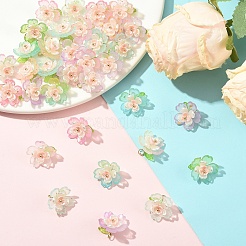 50 個 5 色のアクリルチャーム  304ステンレススチールループ付き  ミックスカラー  14mm  穴：3mm  10個/カラー&nbsp;PALLOY-YW00127