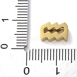 星座 304 ステンレススチール チャーム  水瓶座  6x9x3mm  穴：2mm&nbsp;LS-STAS-U038-01G-11