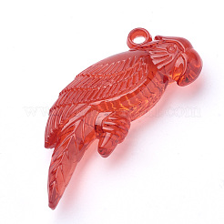 Transparent Acrylic Big Pendants&nbsp;TACR-T002-04