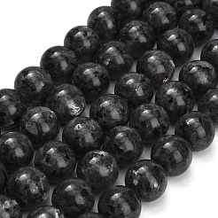 Natural Larvikite Beads Strands&nbsp;GSR18mmC128