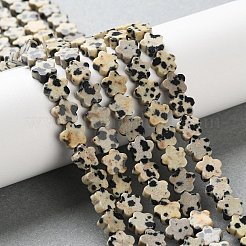 Natural Dalmatian Jasper Beads Strands&nbsp;G-B138-C08-01