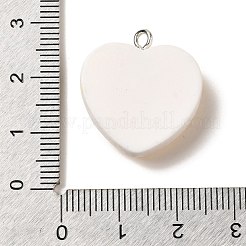 Resin Pendants&nbsp;LS-RESI-A038-01B
