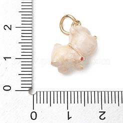 Alloy Enamel Pendants&nbsp;AL-CBA68FA-09A-G