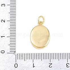 Brass Pendants&nbsp;KK-H273-47G-01