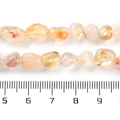 Natural Lodolite Quartz Beads Strands&nbsp;G-P497-01C-28