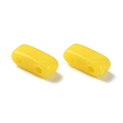 Opaque Acrylic Slide Charms&nbsp;OACR-Z010-02D