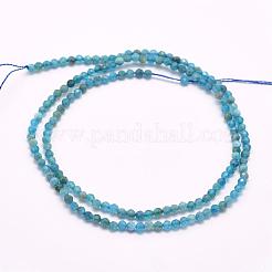 天然石アパタイトビーズ連売り  多面カット  ラウンド  2mm  穴：0.5mm  約166~173個/連  15.5インチ（39cm）&nbsp;G-F509-17-2mm