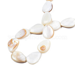 Natural White Shell Beads Strands&nbsp;PBB263Y-1