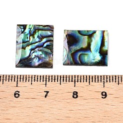 天然パウア貝の長方形カボション  アクリルバック付き  15.5x13x1.5mm&nbsp;SSHEL-T017-11