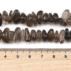 Natural Smoky Quartz Beads Strands&nbsp;G-P622-A01-02