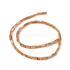 Natural Freshwater Shell Dyed Beads Strands&nbsp;SHEL-M018-11-11