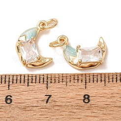 Brass Micro Pave Clear Cubic Zirconia with Enamel Charms&nbsp;CU-K002-47G-B