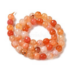 Dyed & Heated Natural Dragon Veins Agate Beads Strands&nbsp;G-P539-A01-15
