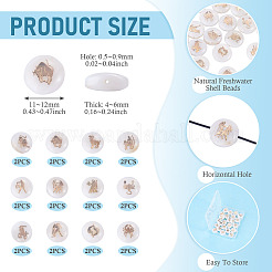 24Pcs 12 Styles Natural Freshwater Shell Beads&nbsp;SHEL-TA0001-42