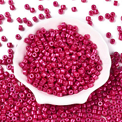 Baking Paint Pearlized Glass Seed Beads&nbsp;SEED-T008-03O