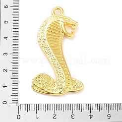 Tibetan Style Alloy Big Pendants&nbsp;PALLOY-S031-12A