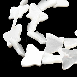 Natural Trochid Shell/Trochus Shell Beads Strands&nbsp;SSHEL-R145-02